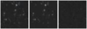 Missing file PGC2561050-custom-montage-W1W2.png