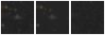 Missing file PGC2579119-custom-montage-W1W2.png