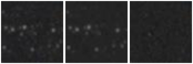 Missing file PGC3287557-custom-montage-W1W2.png