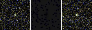 Missing file SDSSJ112800.19+250411.5-custom-montage-FUVNUV.png