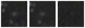 Missing file SDSSJ112951.03+115812.8-custom-montage-W1W2.png