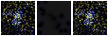 Missing file SDSSJ113106.69+441102.6-custom-montage-FUVNUV.png