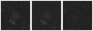 Missing file SDSSJ113109.78+332431.5-custom-montage-W1W2.png