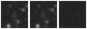 Missing file SDSSJ113146.49+351533.8-custom-montage-W1W2.png