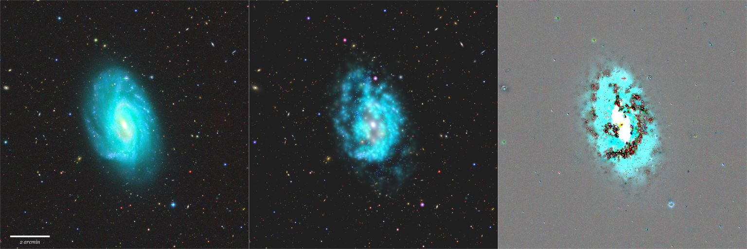 Missing file NGC3726-custom-montage-grz.png