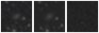 Missing file PGC1228108-custom-montage-W1W2.png