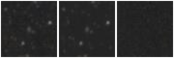 Missing file PGC1275866-custom-montage-W1W2.png