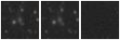 Missing file PGC1598409-custom-montage-W1W2.png