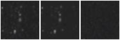 Missing file PGC1620526-custom-montage-W1W2.png