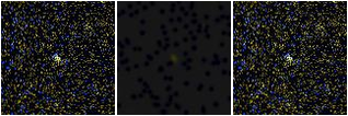 Missing file PGC2142269-custom-montage-FUVNUV.png
