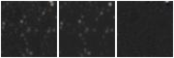 Missing file PGC2142269-custom-montage-W1W2.png