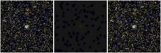 Missing file PGC2298394-custom-montage-FUVNUV.png