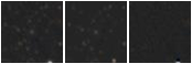 Missing file PGC2298394-custom-montage-W1W2.png