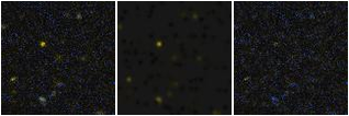 Missing file PGC2364635-custom-montage-FUVNUV.png