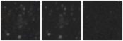 Missing file PGC2807142-custom-montage-W1W2.png