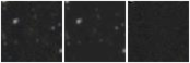 Missing file PGC3291071-custom-montage-W1W2.png