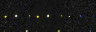 Missing file PGC3291243-custom-montage-FUVNUV.png