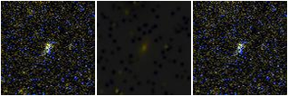 Missing file SDSSJ113327.39+335025.0-custom-montage-FUVNUV.png