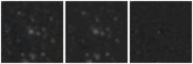 Missing file SDSSJ113350.91+140315.0-custom-montage-W1W2.png