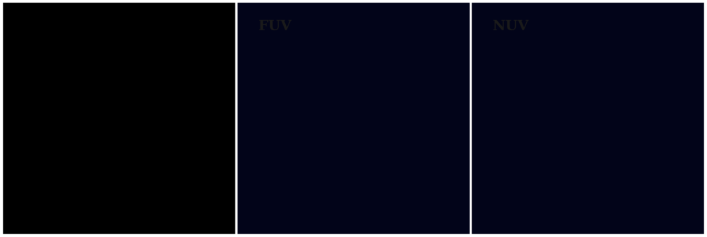 Missing file thumb-PGC036066-custom-ellipse-795-multiband-FUVNUV.png