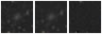 Missing file PGC1170677-custom-montage-W1W2.png