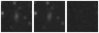 Missing file PGC1731297-custom-montage-W1W2.png