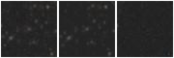 Missing file PGC2088820-custom-montage-W1W2.png
