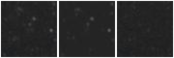 Missing file AGC219659-custom-montage-W1W2.png