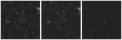 Missing file GAMA143446-custom-montage-W1W2.png