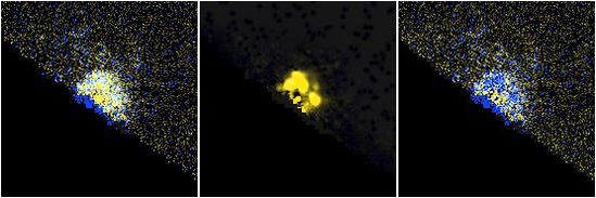 Missing file NGC3811-custom-montage-FUVNUV.png