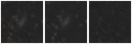 Missing file PGC036429-custom-montage-W1W2.png