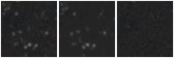 Missing file PGC1218595-custom-montage-W1W2.png