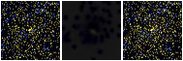 Missing file PGC166114-custom-montage-FUVNUV.png