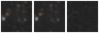 Missing file PGC166114-custom-montage-W1W2.png