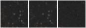 Missing file PGC2313654-custom-montage-W1W2.png