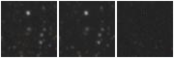 Missing file PGC2567881-custom-montage-W1W2.png