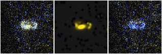 Missing file SDSSJ114040.43+373630.2-custom-montage-FUVNUV.png