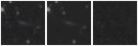Missing file SDSSJ114132.40+575102.1-custom-montage-W1W2.png