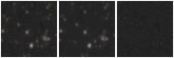 Missing file AGC215196-custom-montage-W1W2.png