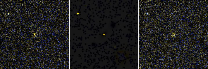 Missing file NGC3869-custom-montage-FUVNUV.png