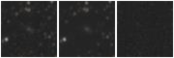 Missing file PGC2461968-custom-montage-W1W2.png