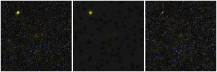 Missing file SDSSJ114649.92+270938.2-custom-montage-FUVNUV.png
