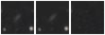 Missing file SDSSJ114754.72+582151.3-custom-montage-W1W2.png
