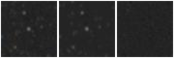 Missing file VFID4028-custom-montage-W1W2.png