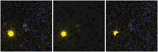 Missing file AGC219540-custom-montage-FUVNUV.png