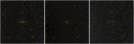 Missing file PGC036862-custom-montage-FUVNUV.png