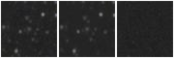 Missing file PGC1528400-custom-montage-W1W2.png