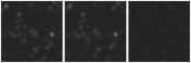 Missing file PGC2243722-custom-montage-W1W2.png