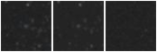 Missing file PGC2340722-custom-montage-W1W2.png