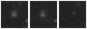 Missing file PGC2431790-custom-montage-W1W2.png